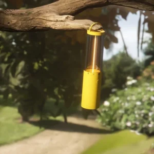 highlight portable lamp in outdoor